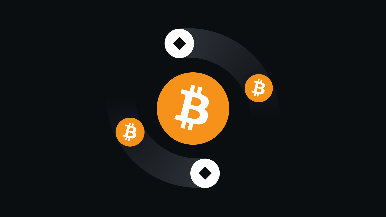 Bitcoin Wallet下载体验